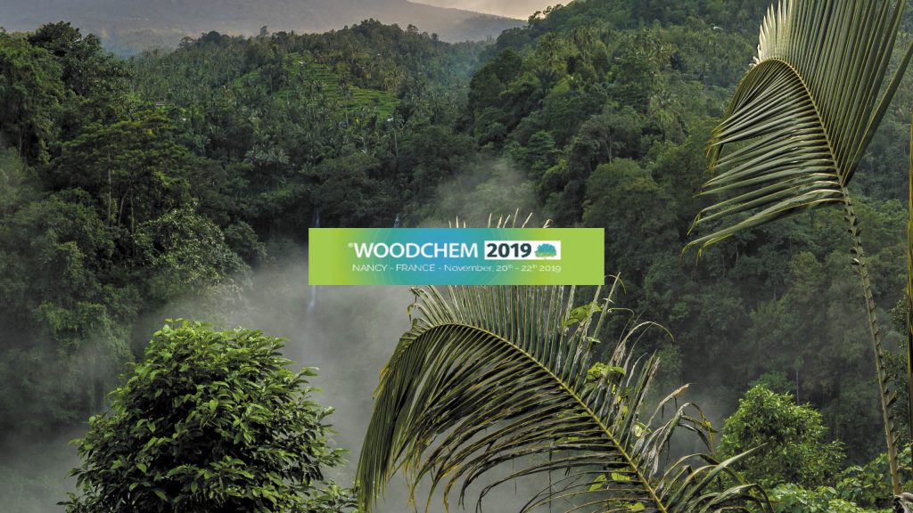 Presentation Woodchem2019 Scientific Conference