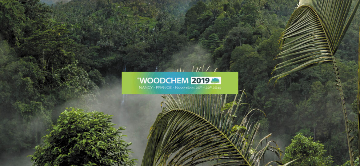 biostratege-woodchem2019