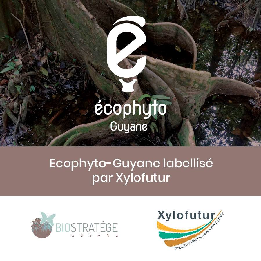 Ecophyto-Guyane labellisé par Xylofutur