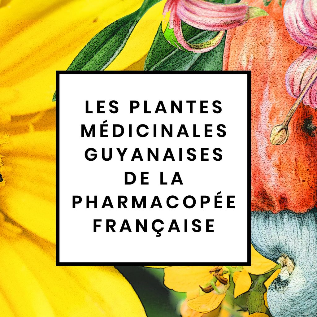 Les plantes médicinales guyanaises de la pharmacopée française